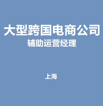 大型跨国电商公司・辅助运营经理