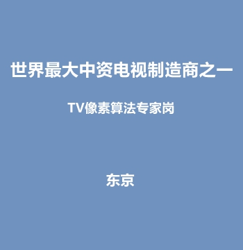世界最大中资电视制造商之一・TV像素算法专家岗